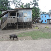 Neves, Sao Tome & Principe