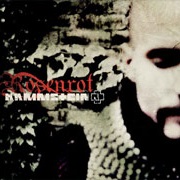 Rammstein — Rosenrot