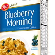 Blueberry Morning Cereal