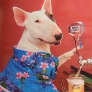 Spuds Mackenzie