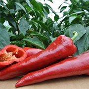 Florina Pepper
