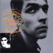 Jon Spencer Blues Group Now I Got Worry