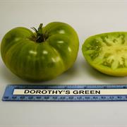 Dorothy's Green