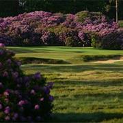 Swinley Forest England