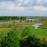Lower Pascagoula River, Mississippi