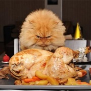 Whe They Are a Bit Too Demanding