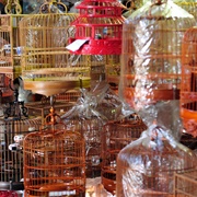 Yuen Po Street Bird Garden