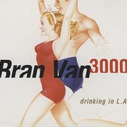 Drinking in L.A. - Bran Van 3000