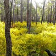 Greater Kingston National Park (WA)
