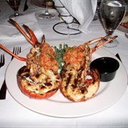 Bermuda Spiny Lobster