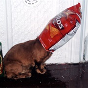 Eaten an Entire Large Bag of Chips by Yourself