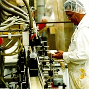 Yamasa Soy Sauce Factory Tour, Salem OR