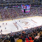 Gila River Arena-Arizona Coyotes