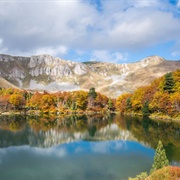 Biogradska Gora National Park, Montenegro
