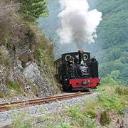 Vale of Rheidol Railway