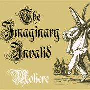 Imaginary Invalid