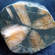 Chiastolite