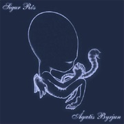 Flugufrelsarinn - Sigur Rós