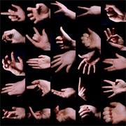 Make Hand Gestures