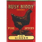 Busy Biddy Ginger