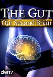 The Gut:  Our Second Brain (2013)