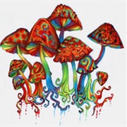 Shrooms