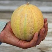 Hand Melons