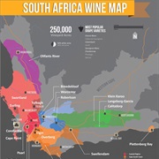 The New Wines of South Africa: Pinotage & Chenin Blanc