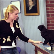 Salem & Sabrina (Sabrina the Teenage Witch)