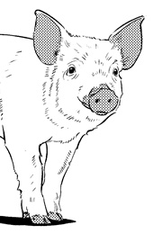 הרשת של שרלוט (א. ב. וייט)