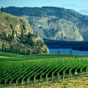 Okanagan Valley, BC, Canada