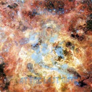 Asianova - At the Last Gate