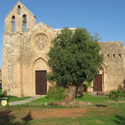 Nestorian Church, Famagusta