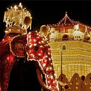 Esala Perahera Festival, Kandy, Sri Lanka