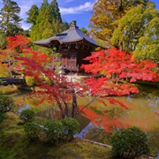 Japanese Garden in Japan