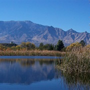 Roper Lake State Park, Arizona