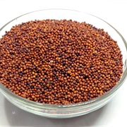 Finger Millet (Eleusine Coracana)