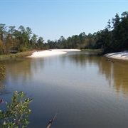 Blackwater River State Park, Florida