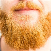 Ginger Beard