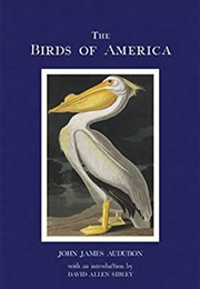 Birds of America (Audubon James John)