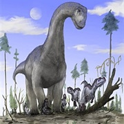 Long Necked Dinosaur