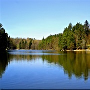 Ebnisee