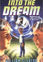 Into the Dream (William Sleator)