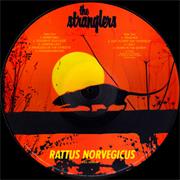 UGLY - THE STRANGLERS