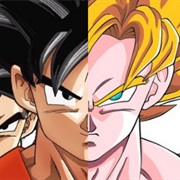 Goku/Saiyan