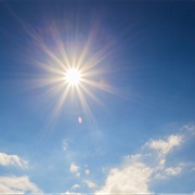 Participate in a Charity Event