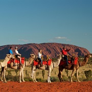Ride a Camel Into Australia&#39;s Red Centre