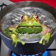 Frogs Leap Out When Cast Into Boiling Water