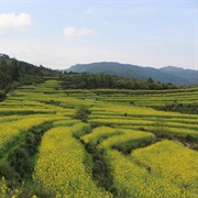 Wuyuan