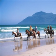 Horse Ride on the Beach